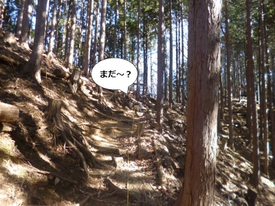 伊豆ヶ岳20150109