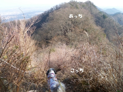 仏果山・高取山20150120