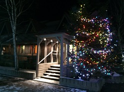 クリスマスツリー夜2