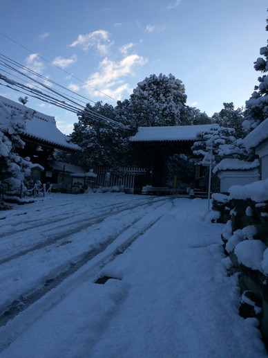 雪景色12