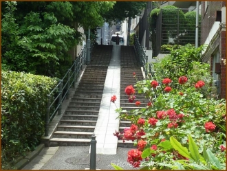 20150525　階段　１　　階段と紫陽花