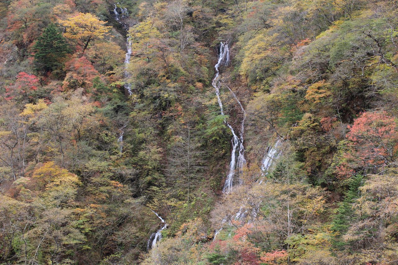 華厳の滝-17