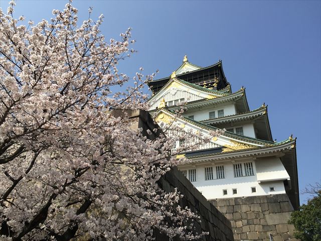 大阪城桜散歩