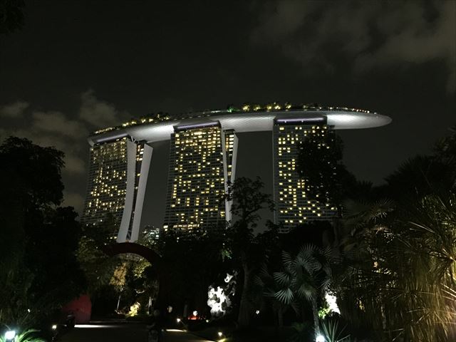 シンガポールの新名所、ガーデンズバイザベイ　夜編