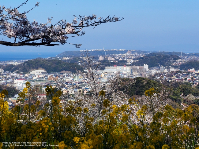 衣笠山公園からの眺め