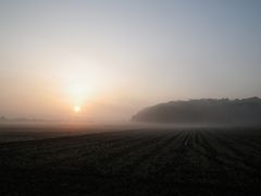 ［写真］農園前から眺める朝もやが広がる田んぼと日の出の風景